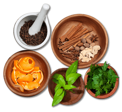 Ayurvedic Medicine